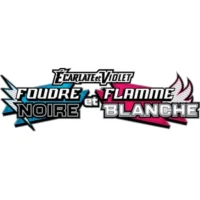 Logo Foudre Noire-Flamme Blanche